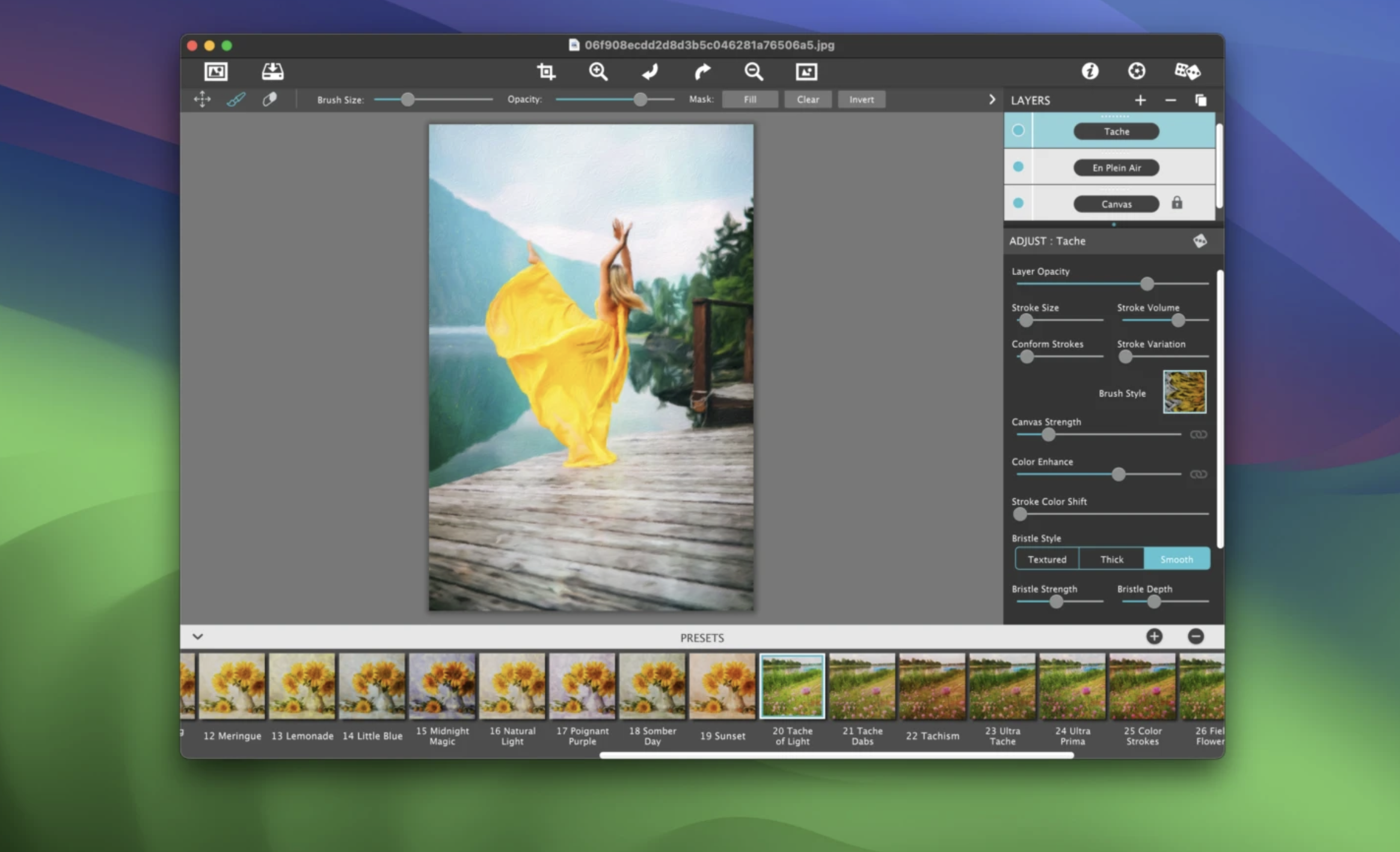 ixiPix Artista Impresso Pro for mac - 印象派油画滤镜效果软件-1