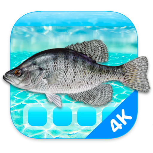 Aquarium 4K for Mac v1.1.0 - 4K高清屏幕保护工具