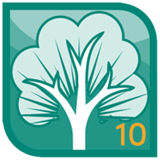 RootsMagic for Mac v10.0.7 – 族谱与家系历史管理的家谱工具